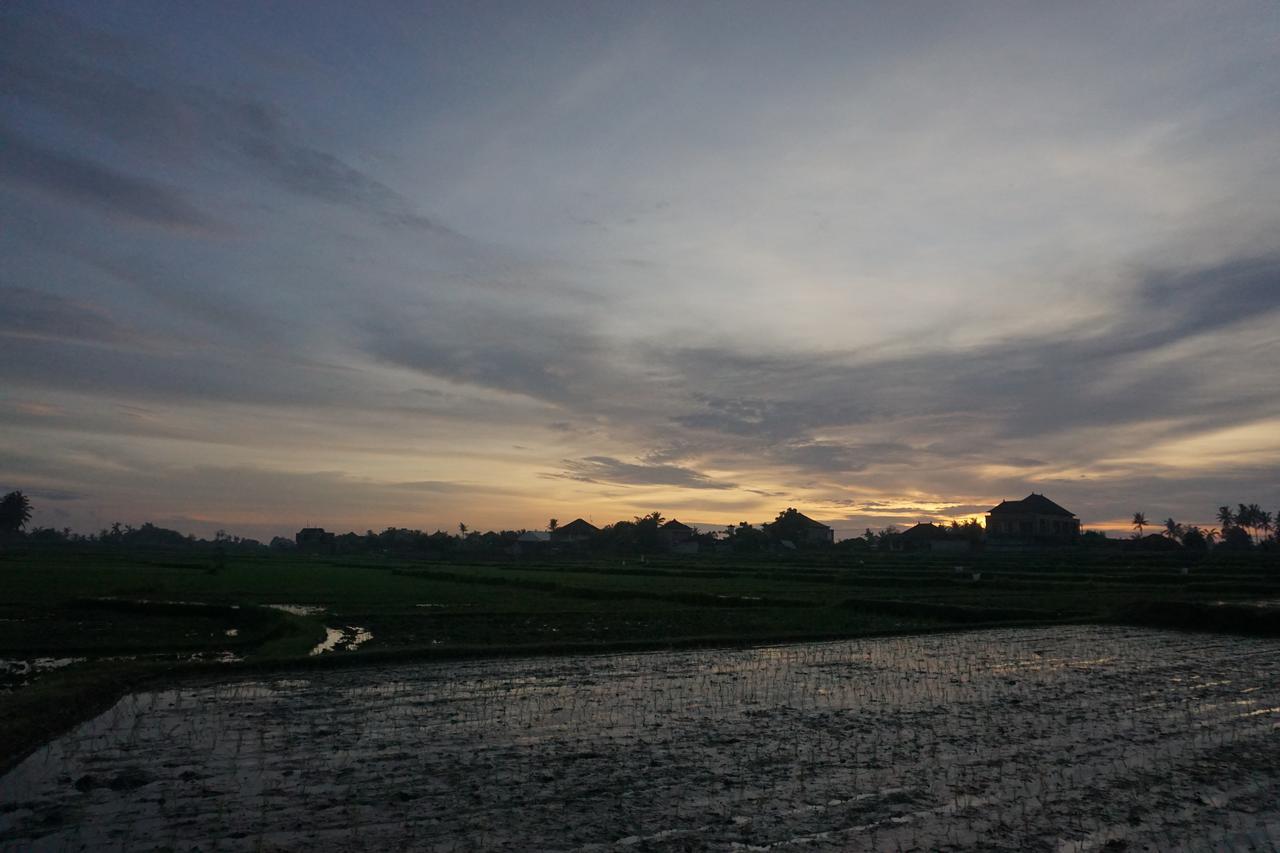 Pondok Uma Ubud Екстериор снимка